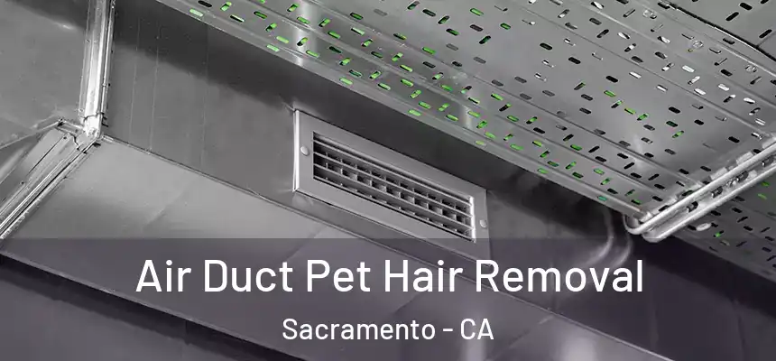  Air Duct Pet Hair Removal Sacramento - CA