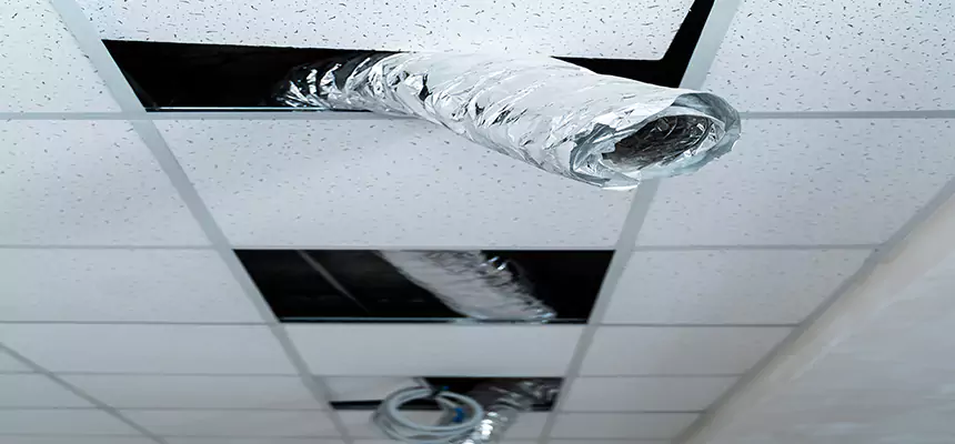 Our Air Duct Pet Hair Removal Services in Sacramento, CA