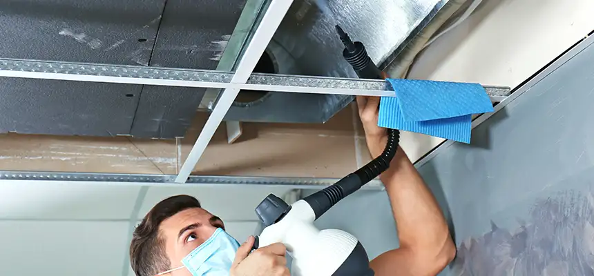 Our Air Duct Rodent Removal Services in Sacramento, CA