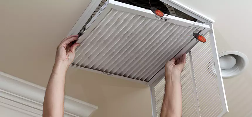 Our Insect Removal from Air Ducts Services in Sacramento, CA
