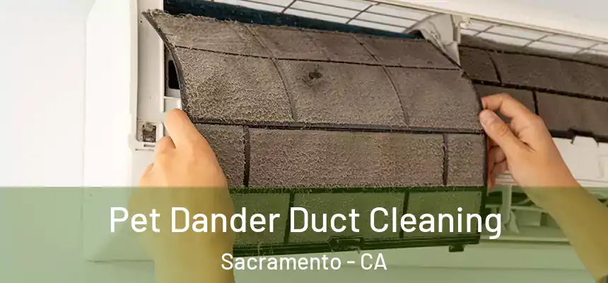  Pet Dander Duct Cleaning Sacramento - CA