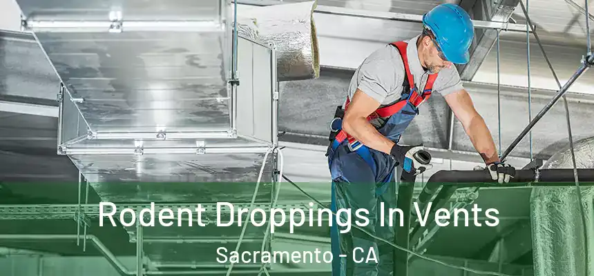  Rodent Droppings In Vents Sacramento - CA