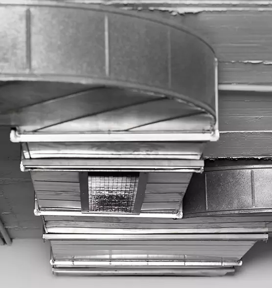 Professional Air Duct Pet Hair Removal in Sacramento, CA