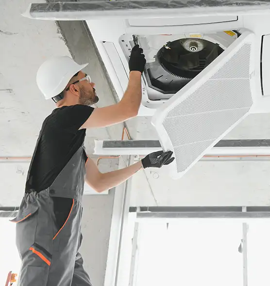 About Air Duct Rodent Removal in Sacramento, CA