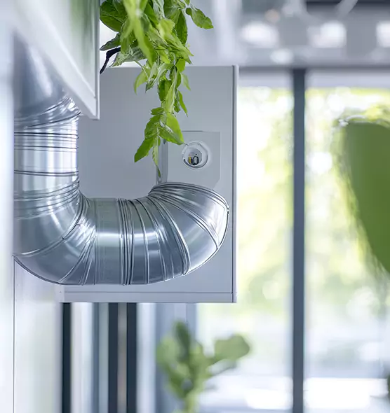 Professional Eco-Friendly Duct Cleaning Services in Sacramento, CA