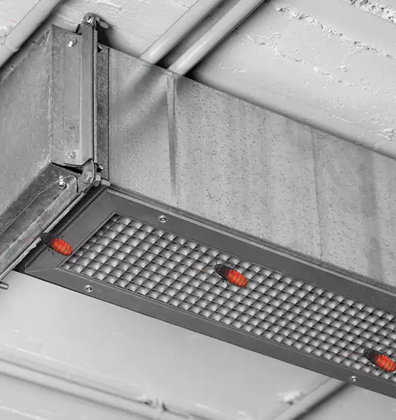 Affordable Insect Removal from Air Ducts in Sacramento, CA