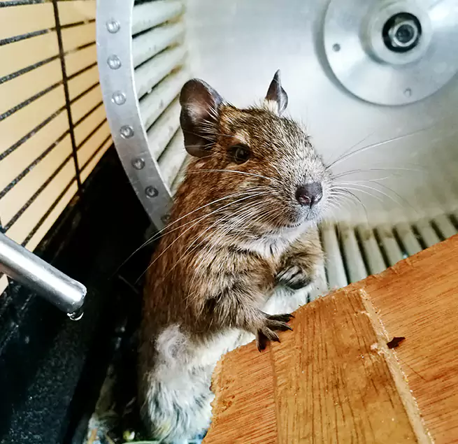 Why Homeowners & Businesses Trust Us Sacramento, CA