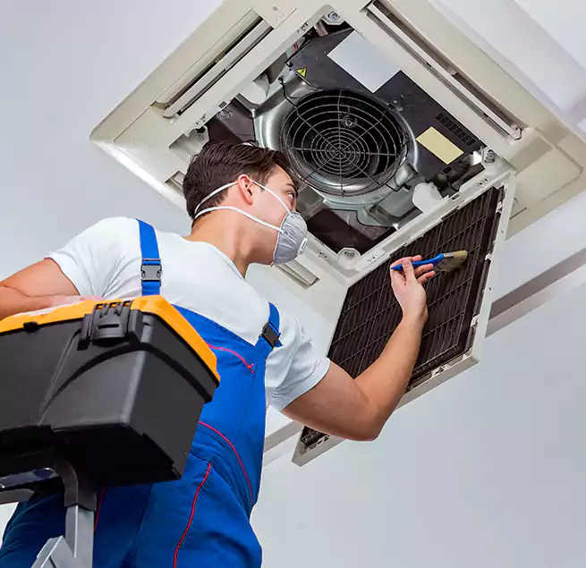 Why Homeowners & Businesses Trust Us in Sacramento, CA?