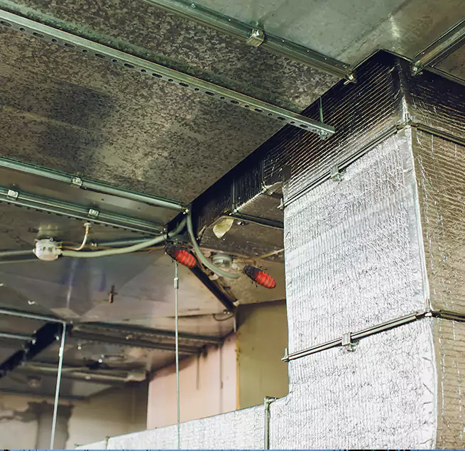 Why Homeowners & Businesses Trust Us Sacramento, CA?