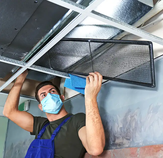 Why Homeowners & Businesses Trust Us in Sacramento, CA?